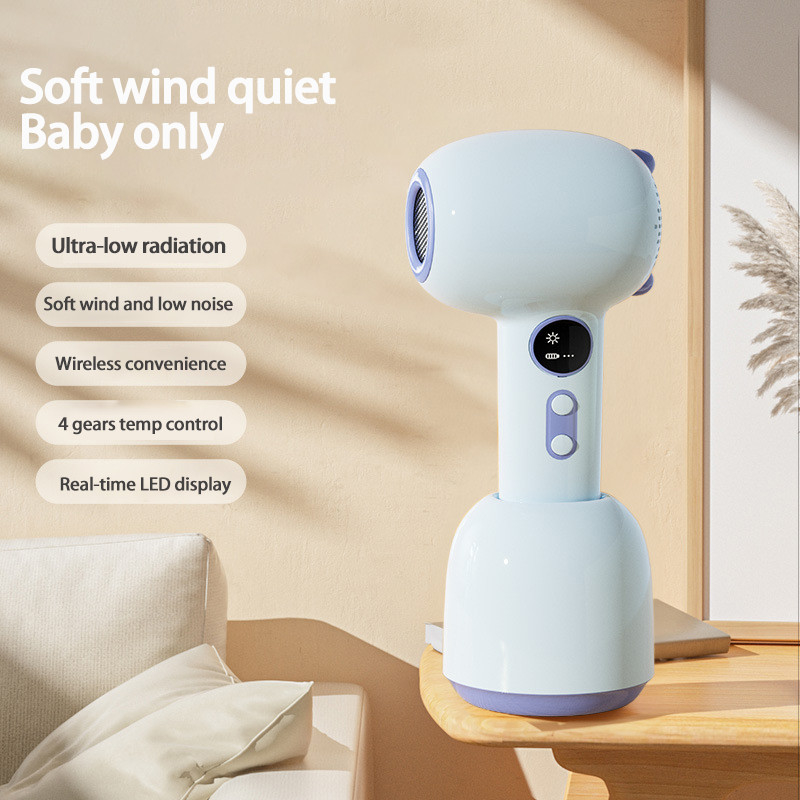 Advanced Technology Cordless Hair Dryer With Type-C Charging Port And Long Battery Life