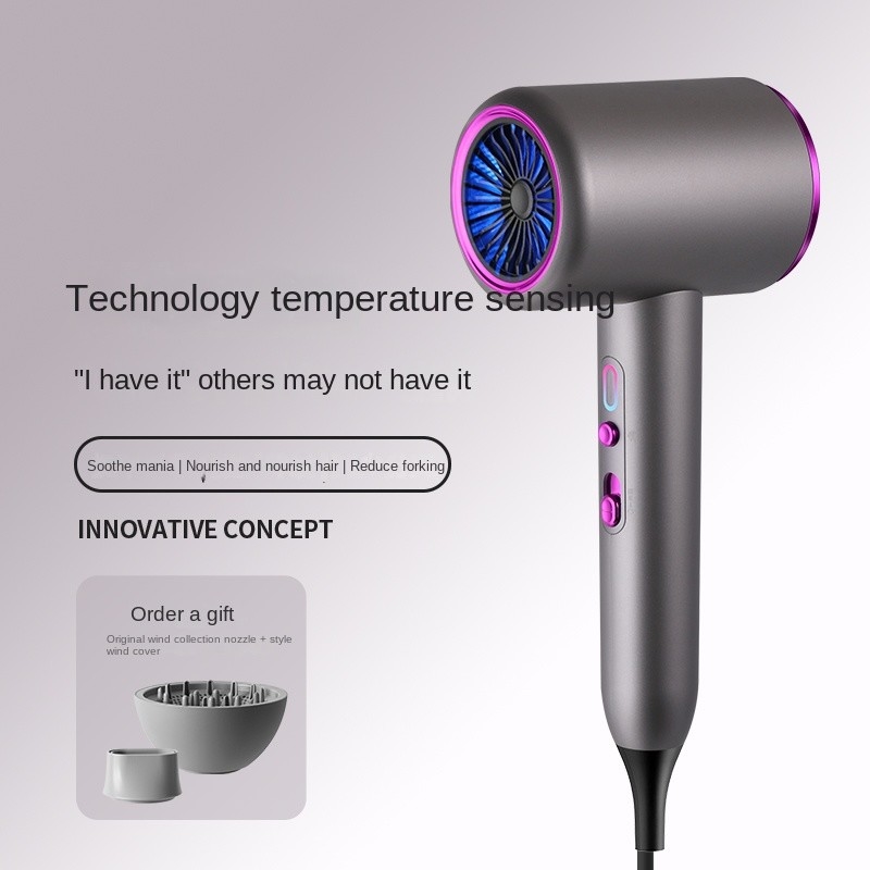 High Power 2400W Negative Ion Hair Blow Dryer Salon Blow Dryer Hot and Cold Wind Hair Dryer Volumizer